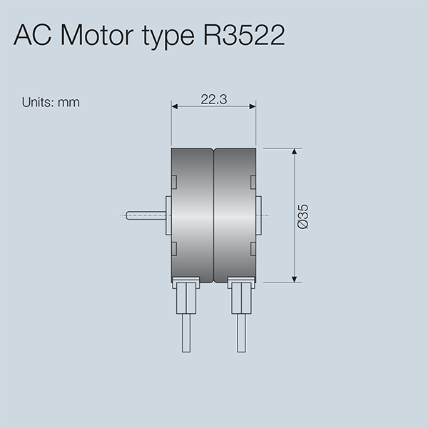 Small AC Motor