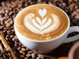 Coffee Machine Gearmotor