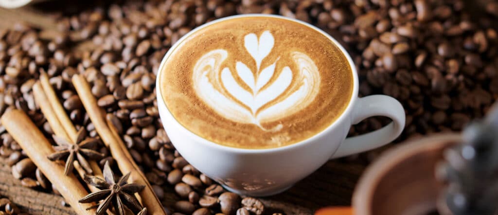 Coffee Machine Gearmotor